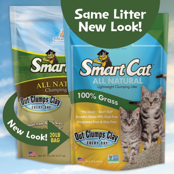 SmartCat photo 1