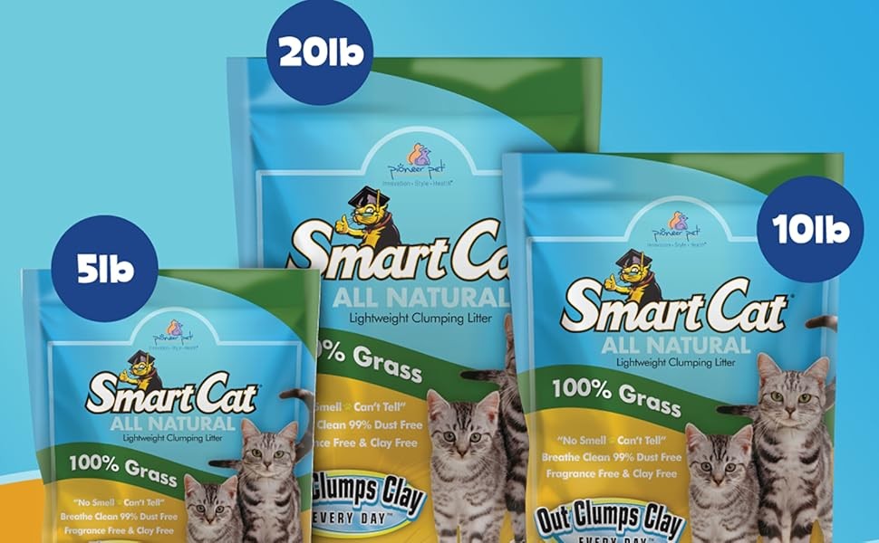 SmartCat photo 10