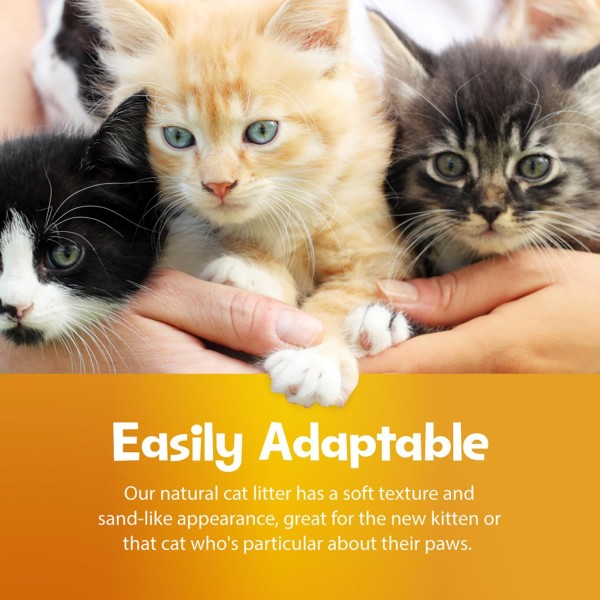 SmartCat photo 5