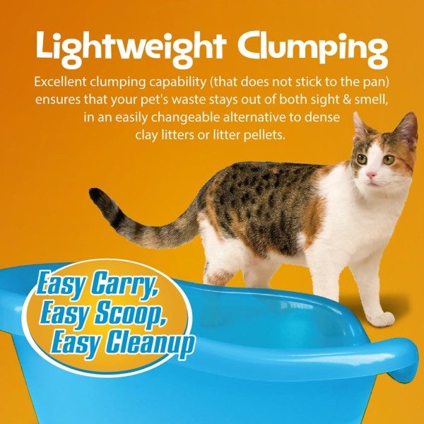 SmartCat photo 6