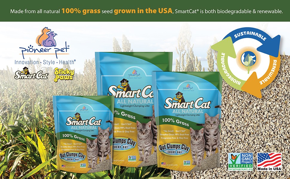 SmartCat photo 9